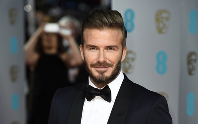 GOGO电竞-低调领袖