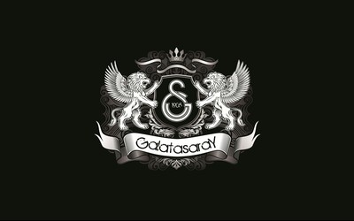 GOGO电竞-凯恩冲击欧冠金靴差球