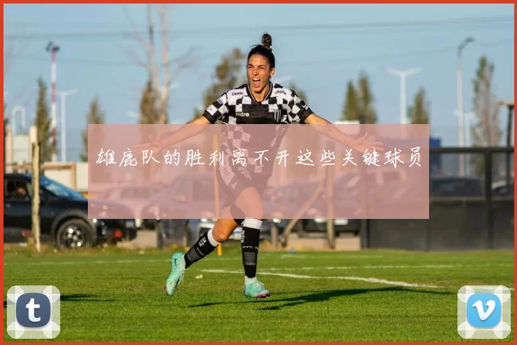 雄鹿队的胜利离不开这些关键球员