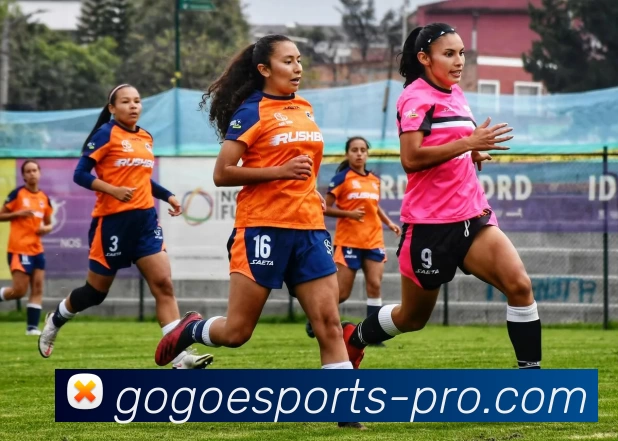 GOGO电竞专业版平台生态图