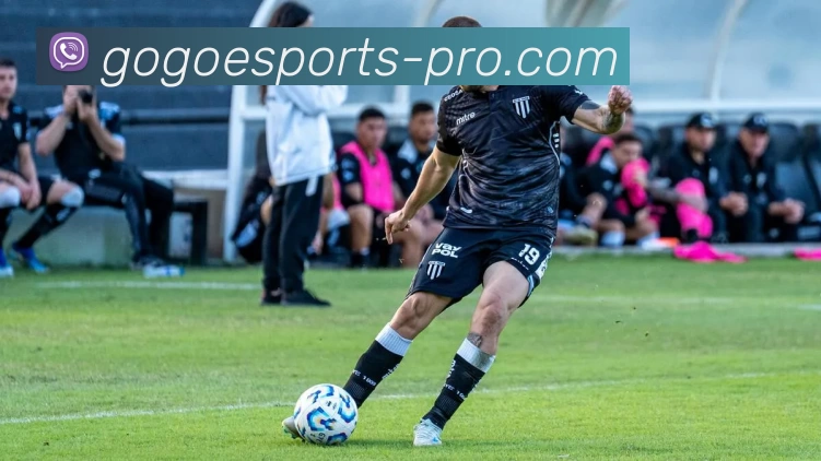 GOGO电竞专业版全站App